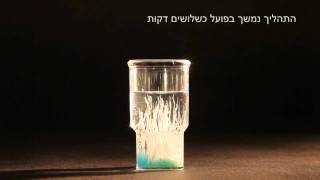 גן כימי - ליל המדענים 2011