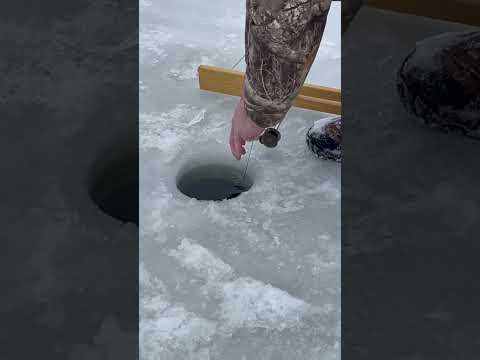 Ice Fishing Northern Wisconsin