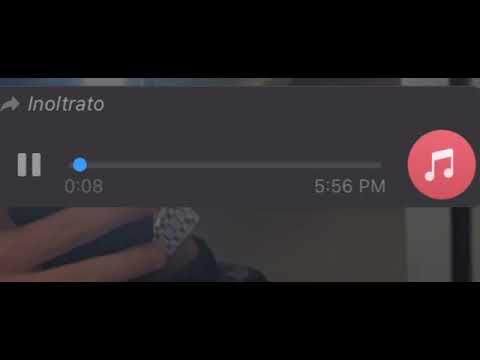 i vac pazz pa porchett Cristiano Anzaloni Testi Chiangiano Anzaloni