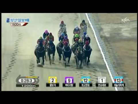 2012 Busan Ilbo Cup - Yeonseung Daero