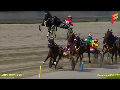 II Corsa del 6 Marzo 2022 - 4 Anni - Metri 2000