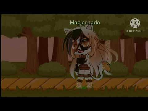 Epoch Meme ft.Mapleshade,Petalkit,Larchkit,and Patchkit (Read desc)