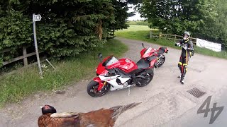 Ducati 1299 Panigale v 2015 Yamaha R1