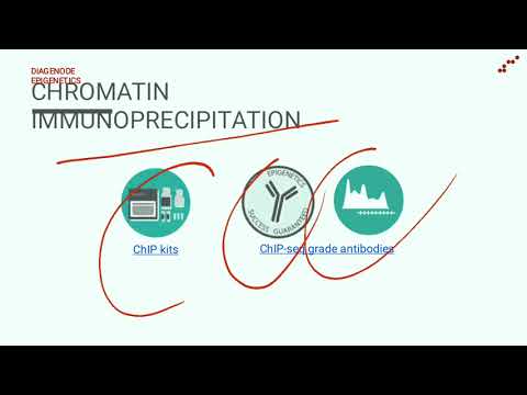 Introduction of Diagenode   #rna-seq #chip-seq #ATAC-seq