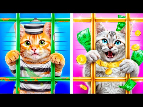Rich vs Poor Build Secret Rooms for the Cat in Prison!