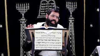 הוריות דף י' ע''א ¤ הרב נתנאל אברז'ל ¤ בית הכנסת "בית מרדכי" (מוסדות תורת דוד) - התמונה מוצגת ישירות מתוך אתר האינטרנט יוטיוב. זכויות היוצרים בתמונה שייכות ליוצרה. קישור קרדיט למקור התוכן נמצא בתוך דף הסרטון