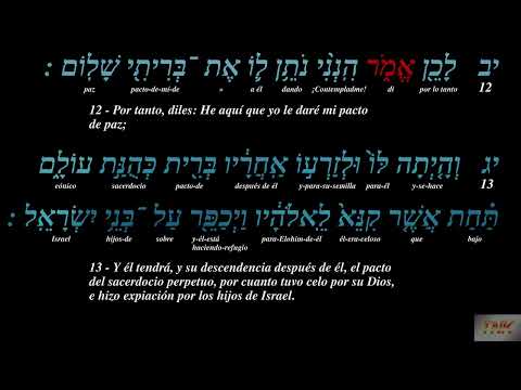 Numbers 25 - Hebrew Audio Bible with Spanish Subtitles