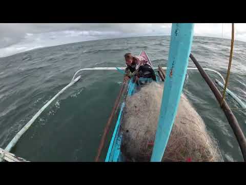 Humataw ng dalawang PAGBATAK at nakabawi rin #fishing #netfishing #lambat