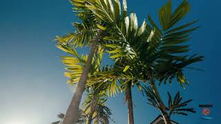 Maresol Barbados Apartments Video