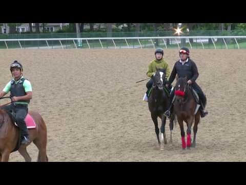 Epicharis Work 6.6.17