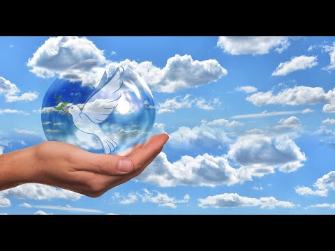 Thilo Morningstar & BoxBand - Frieden