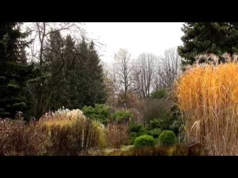 *** EDWARD SIMONI - RELAKS Z PRZYRODĄ ***