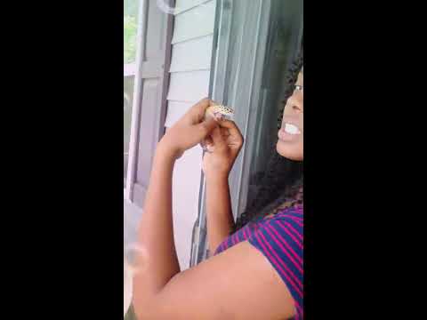 MY BESTFRIEND ISSA LIZARD....