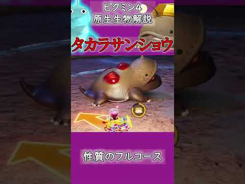 【ピクミン4】原生生物解説 No.023 ザコサンショウ・タカラサンショウ