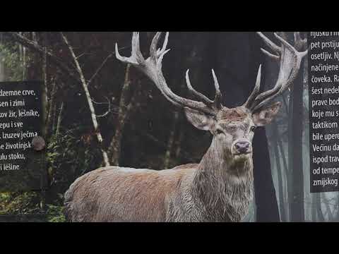 Znaci moga mesta - Obedska bara