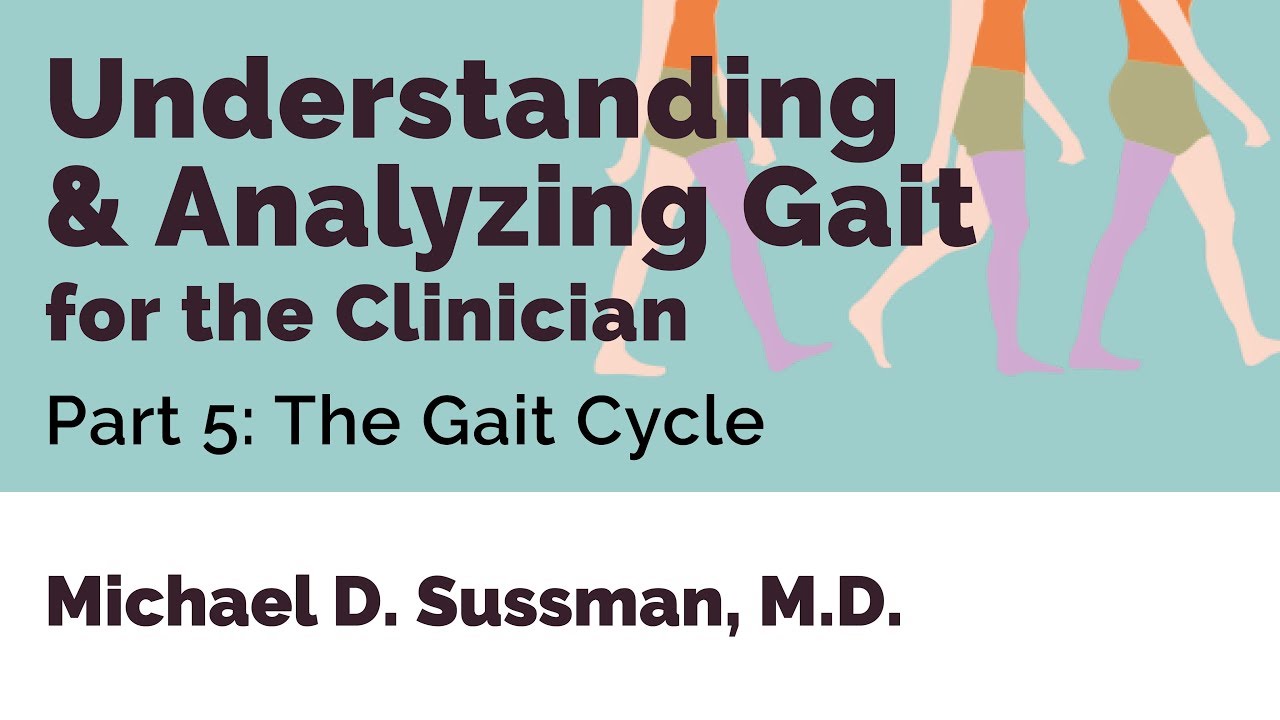 Understanding & Analyzing Gait For The Clinician: Part 05 [The Gait Cycle]