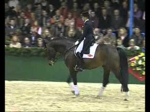 Fidertanz - Elite Stallions