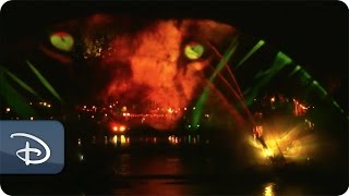 Disneynature Brings Animals to Life in ‘Rivers of Light’