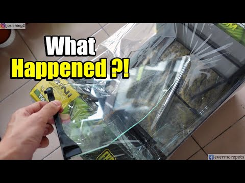 What am I going to do with my broken EXOTERRA glass terrarium?