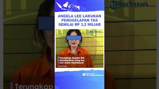 Selebgram Angela Lee Diduga Melakukan Penggelapan dan Penipuan Tas Mewah Senilai Rp 3,2 Miliar