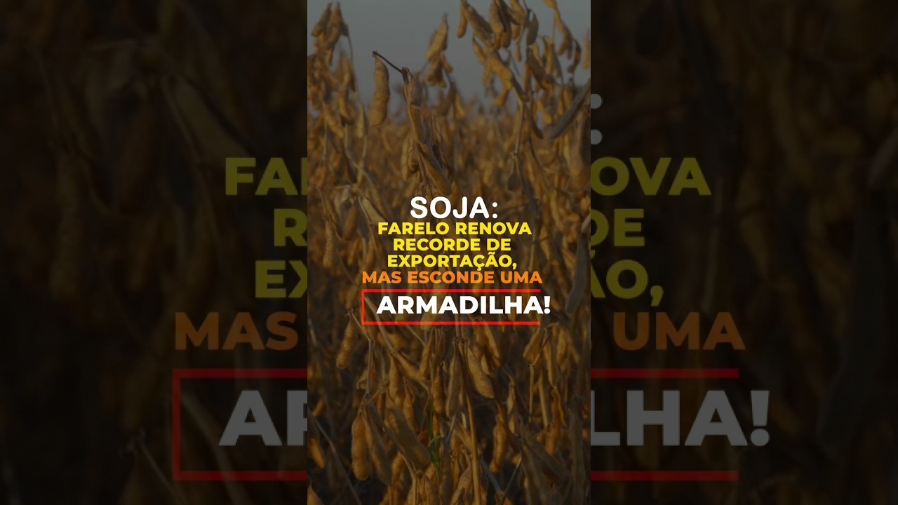 SOJA: FARELO RENOVA RECORDE DE EXPORTAÇÃO, MAS ESCONDE UMA ARMADILHA!