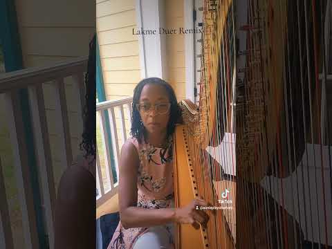 Promotional video thumbnail 1 for The Happy Harpist