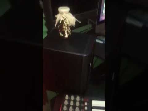 Lee Da Answer - Brilliant Verse - Snippet