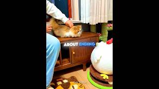 Download lagu #itsmeissie mp3