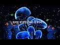 Ki Je Sunno Sunno Lage Tumi Hina Lyrics Tarkata Bangla Movie Song SKD VISION