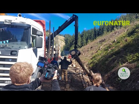 Problemele care persistă în siturile Natura 2000