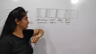 2.4.1 Line Spectrum of Hydrogen | NCERT Chemistry Class 11 | Chapter-2 Structure of Atom