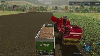 Farming Simulator 22. How to sell potatoes at Erlenberg.