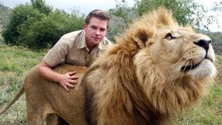 Lion Tamer Teenager In South Africa