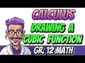 Calculus How To Draw A Cubic Function Grade 12 Math