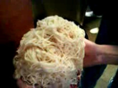 Jon's Mongo Adventure Part 1