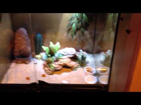 Zoo Med Mini Combo Deep Dome Lamp Fixture Review