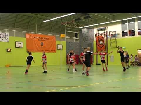 Rust Roest B1 korfbal tornooi 2017:    DSC - Fortuna