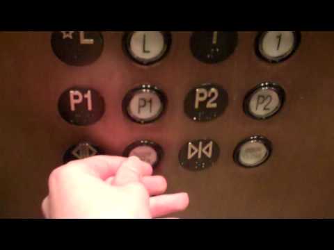 Montgomery Traction Elevators @ Nordstroms, The Westchester in White Plains, NY