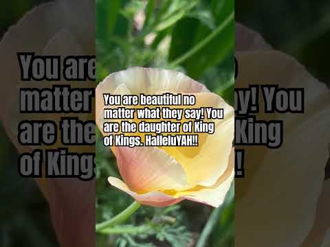 #528hz #harp #daughteroftheking #yahweh #flower #garden #california #youarebeautiful #nazarene