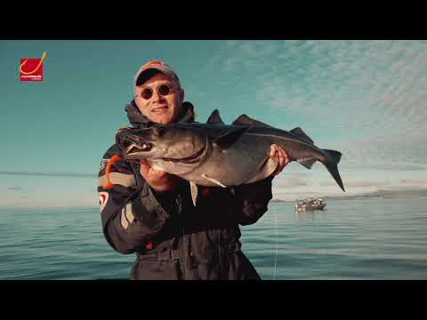 Angeln in Norwegen: 6. Saltstraumen Festival Oktober 2020 - perfekt trotz Pandemie