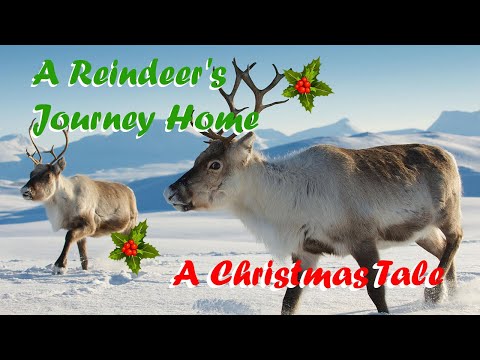 A Reindeer's Journey Home - A Christmas Tale