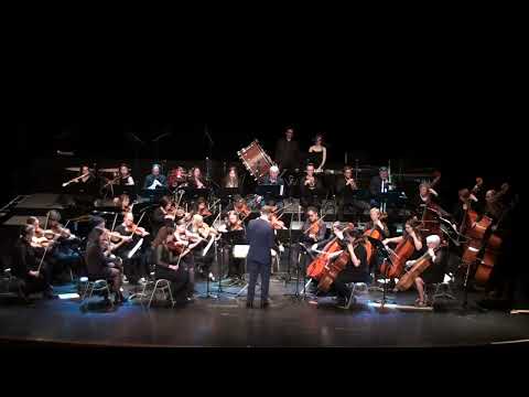 Ballet de Casse-noisette - Marche - (Tchaîkovski)