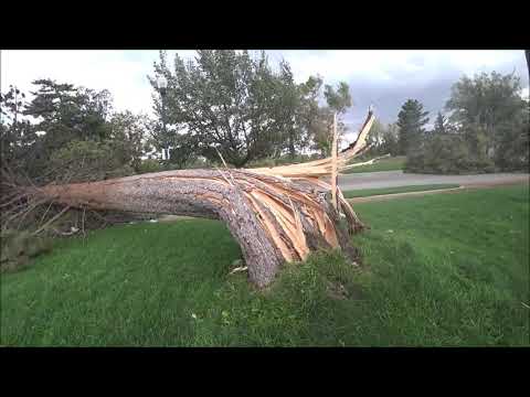 Severe Wind Storm Hits Utah