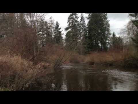 [free] midwest emo x fats'e x nothing,nowhere. type beat - "my farewell" (wisssery)