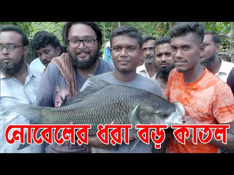 Nobel Caught A Big Catla Fish at Nator