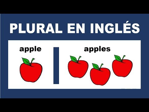 ✅ El Plural de los Sustantivos en Inglés