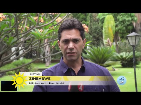 Oro i Zimbabwe: "Man vet inte vad som kommer istället" - Nyhetsmorgon (TV4)