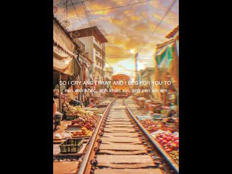 lovefool (lyrics vietsub) nhạc tik tok hay nhất