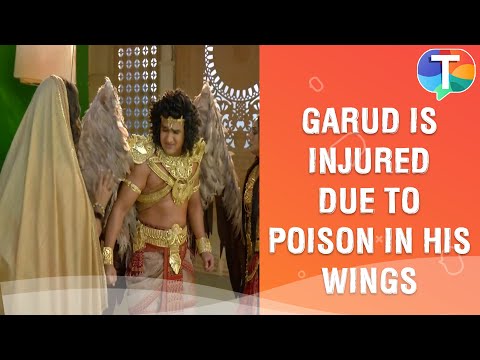 Garud’s wings are hurt due to poison of Samudra Manthan | Dharm Yoddha Garud Update