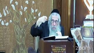 הרה"ג הרב וועכטר שליט"א ה' חשון תשפ"ד - מאמר תורה אור בראשית ד"ה להבין עניין הברכות חלק ח (הרב אברהם מנחם מענדל וכטר) - התמונה מוצגת ישירות מתוך אתר האינטרנט יוטיוב. זכויות היוצרים בתמונה שייכות ליוצרה. קישור קרדיט למקור התוכן נמצא בתוך דף הסרטון